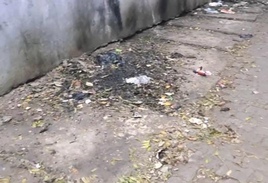 आदर्श नगर पंचायत में कूड़ा ही कूड़ा