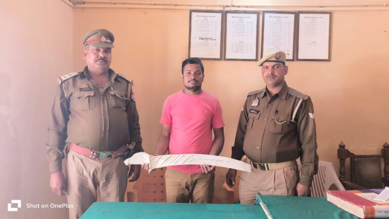 सोशल मीडिया पर वायरल वीडियों में तलवार के साथ जन्मदिन मनाने वाले  अभियुक्त गिरफ्तार