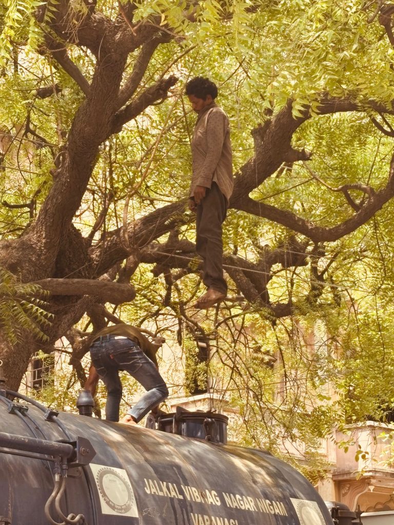 *__सिगरा पेड़ से लटक कर एक युवक ने की आत्महत्या_*