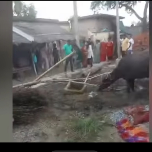 जमीनी विवाद को लेकर दो पक्षों में लाठी डंडे से मारपीट का वीडियो सोशल मीडिया पर हुआ वायरल