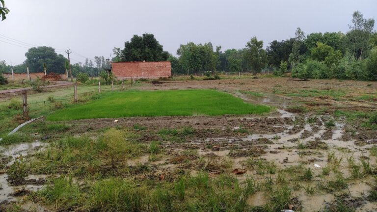 गर्मी से बेहाल जनजीवन, बारिश ने जगाई धान की रोपाई की आस
